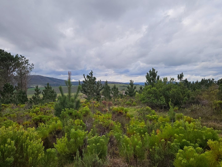 2 Bedroom Property for Sale in Baardskeerdersbos Western Cape